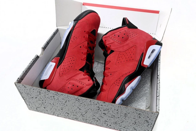 CT8529-600 Air Toro Jordan 6 0811